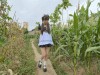 【FXX】【ZENTAI女仆】奇妙的旅途 路上车来车往 旁边路过的车会不会看到后排被绑上的女仆 欧式直臂 并腿 驷马 远程内置TD 野外露出