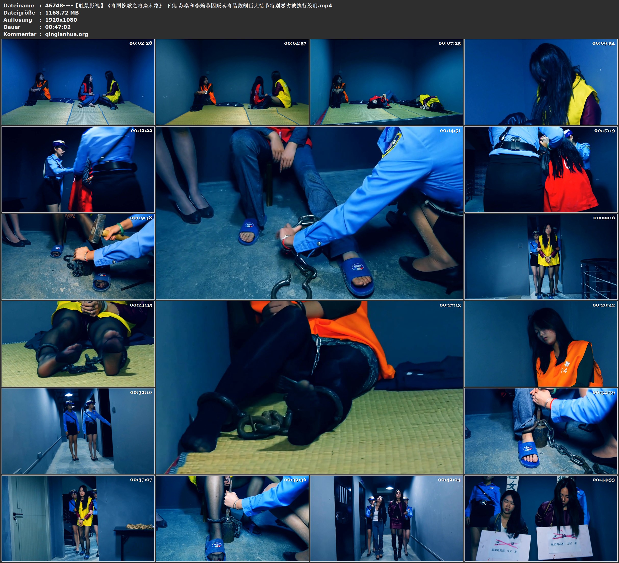 46748----【胜景影视】《毒网挽歌之毒枭末路》 下集 苏秦和李婉蓉因贩卖毒品数额巨大.jpg