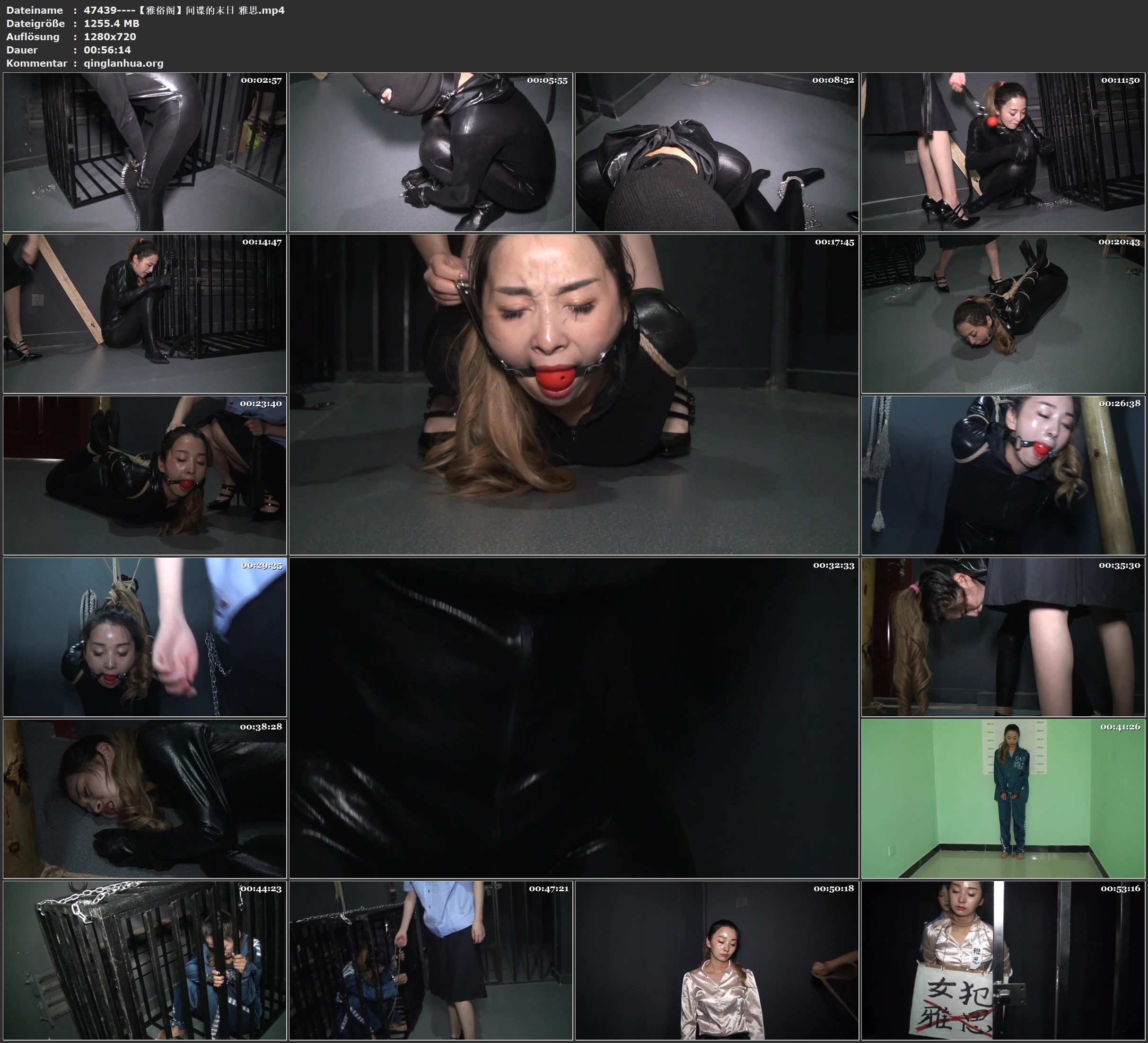 47439----【雅俗阁】间谍的末日 雅思.jpg