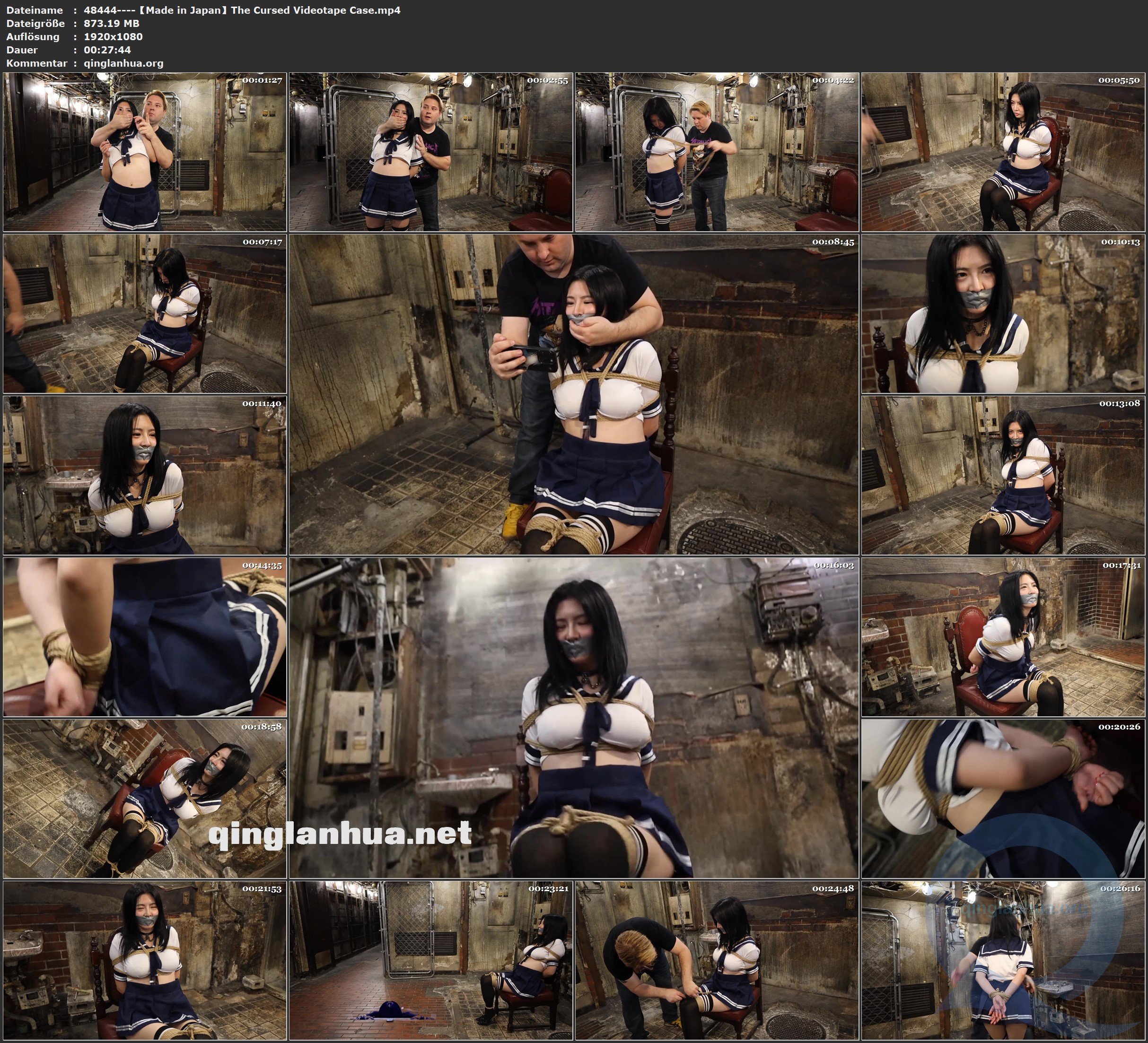 48444----【Made in Japan】The Cursed Videotape Case.jpg