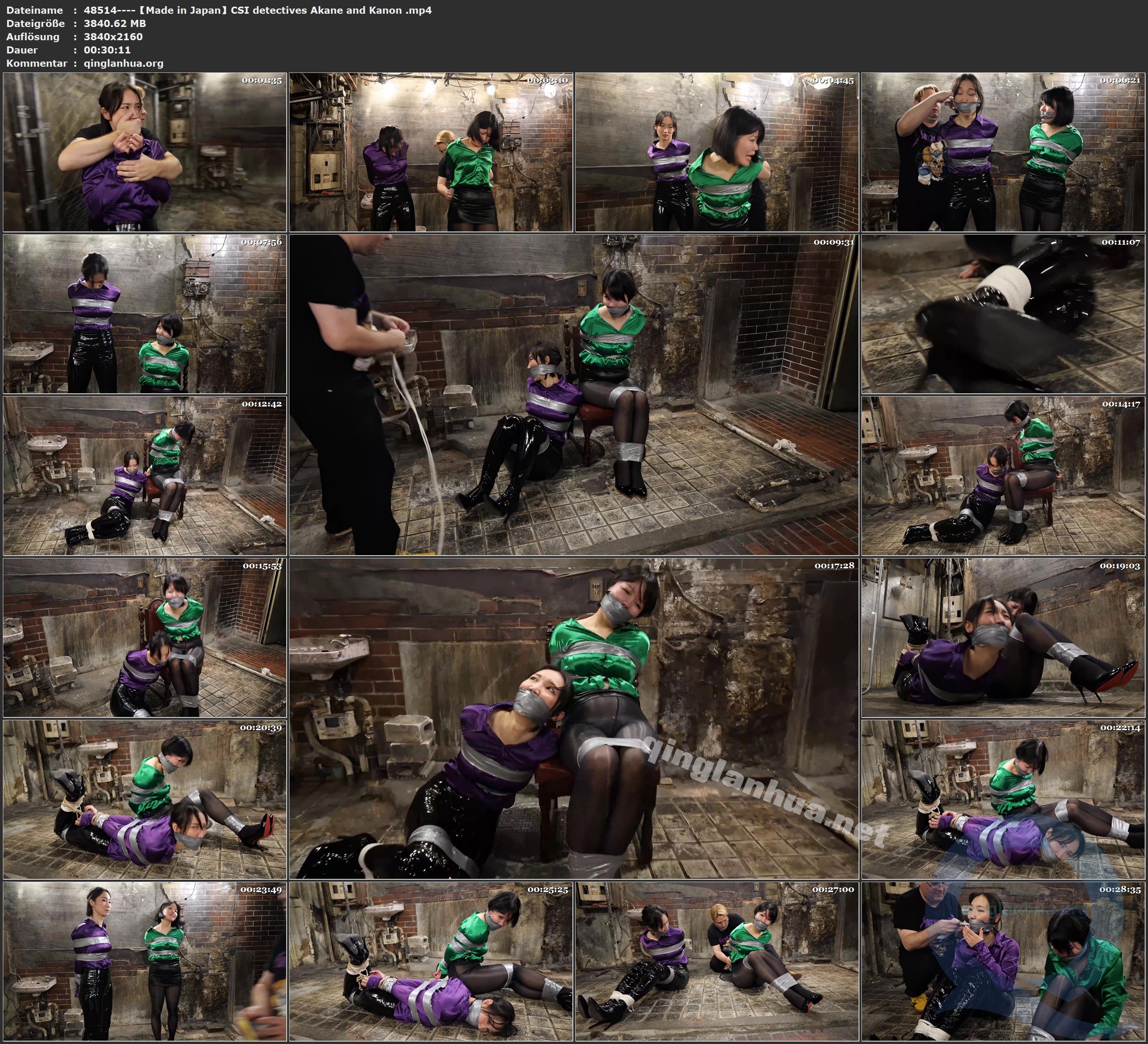 48514----【Made in Japan】CSI detectives Akane and Kanon .jpg