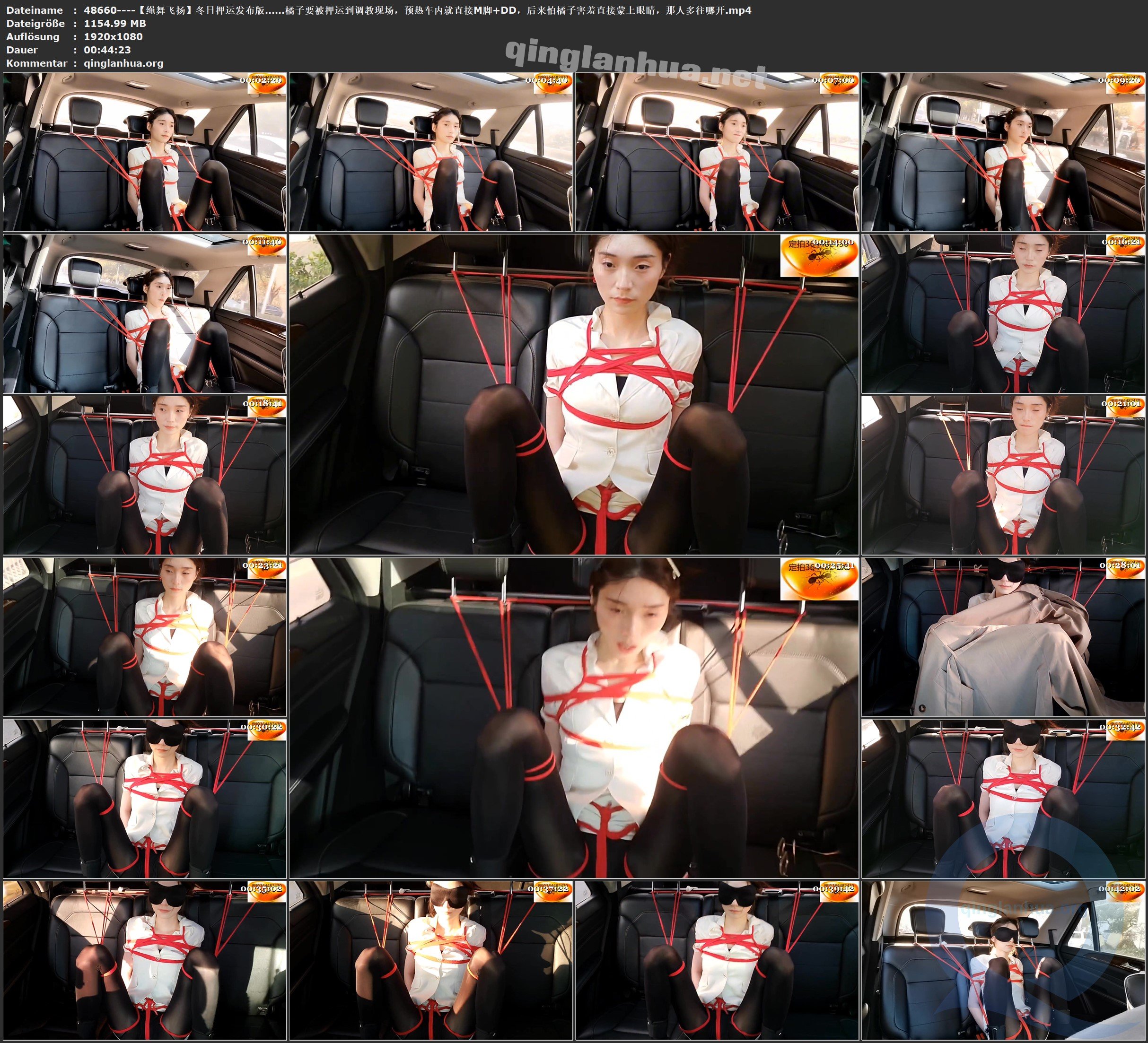 48660----【绳舞飞扬】冬日押运发布版……橘子要被押运到调教现场，预热车内就直接M脚.jpg