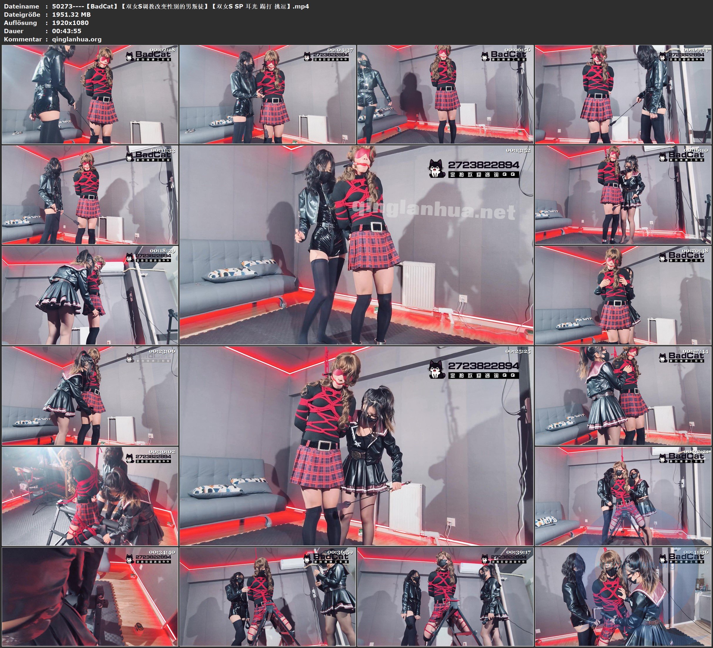 50273----【BadCat】【双女S调教改变性别的男叛徒】【双女S SP 耳光 踢打 挑逗】.jpg