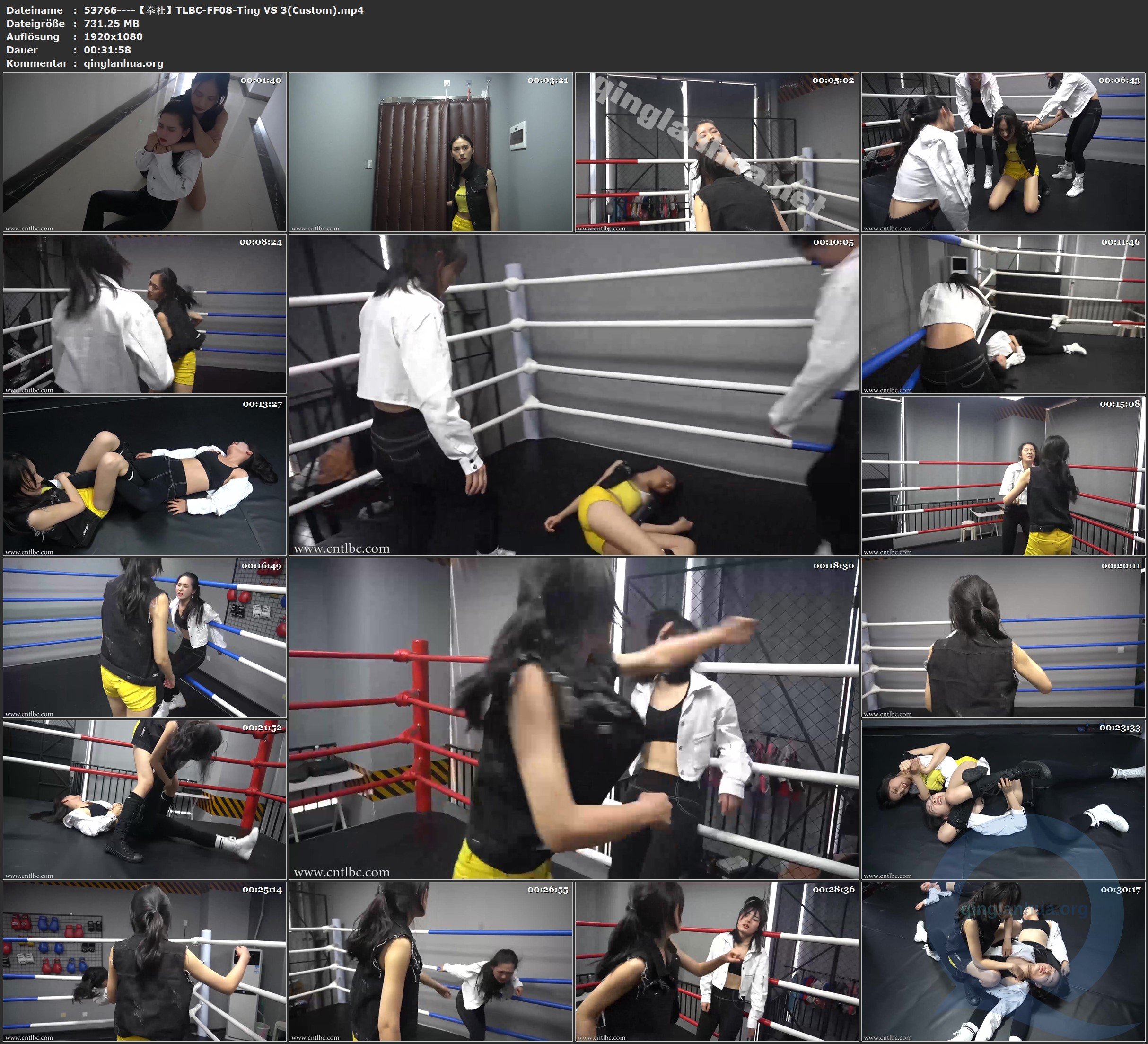 53766----【拳社】TLBC-FF08-Ting VS 3(Custom).jpg
