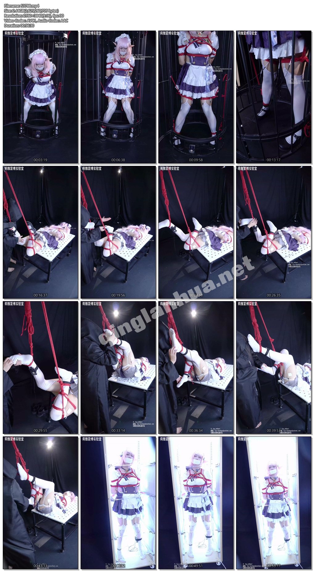 53788----【莉雅】COSER绑架案-爱莉希雅女仆 cosplay紧缚封嘴波波贝失禁蛋蛋电击虐足.jpg