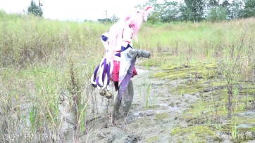 【风霜的筱酱】修行摸鱼的八重樱