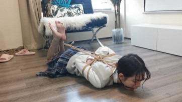 【奥特曼】珊珊驷马放置