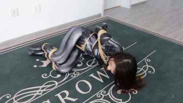 【得意客】定拍作品《特务支援科秘密任务 卧底德意会所·下》