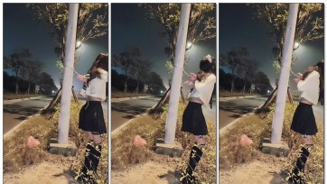 【一只松鼠】男娘路灯下项圈牵引露出放置+郊狼电击