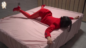 【象人原创】小o-红红仍是你，赠我的心中艳阳？