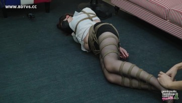 【半岛束艺台】【泠鸢】新人就是用来折腾的