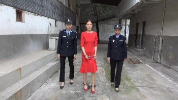 【梨花雨】红色罂粟花