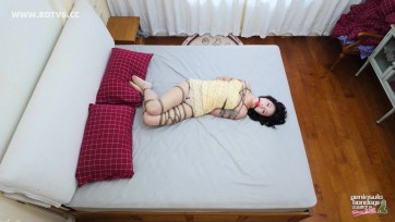 【半岛束艺台】【波雅】家里进了蜜蜂