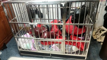 【曼陀罗】面对这种这么严密的拘束，你能挣得脱么？