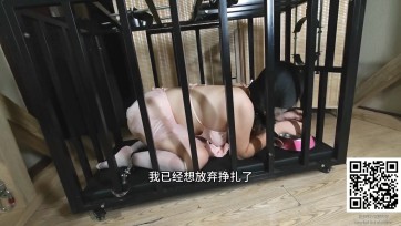 【缚手-五爷】女奴狗笼关押（一）