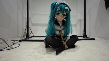 【四季屋】kig的后手海老缚