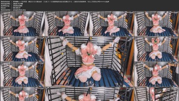 【时绳】||《魔法少女小圆cos》（女孩子）全身被锁链拘束起来的魔法少女，会被好好的被棒棒、电击之类的玩弄吧~~~~